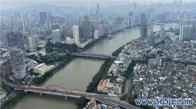 探索茶叶养生新趋势